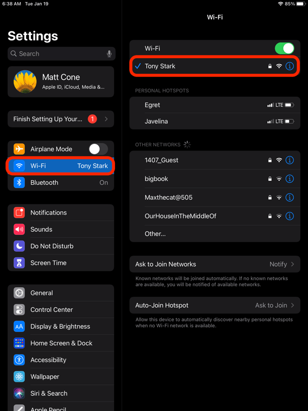 iPad network settings